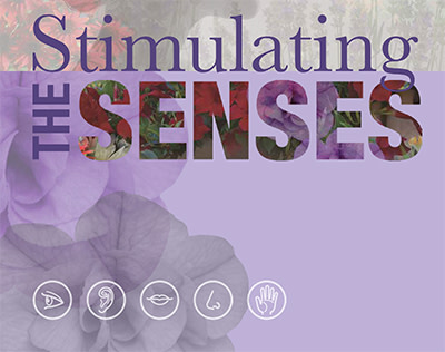 Stimulating the Garden Senses