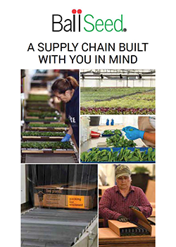 A supply chain built with you in mind