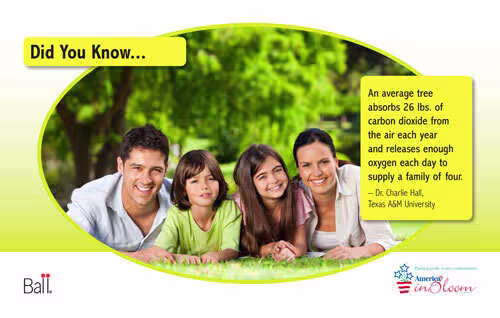 Retail PlantBenefit Benchcard 2