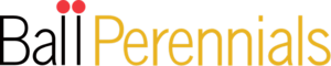 logo ball perennials