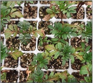 Water Quality Deep Dive – Understanding Alkalinity