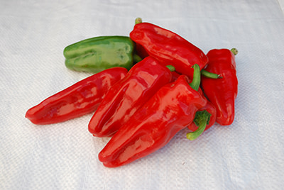 Burpee Spices Things Up For 2023