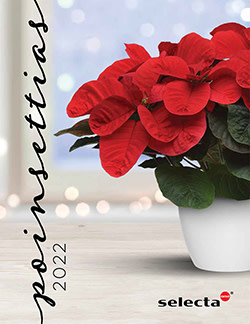 View the 2022 Poinsettia Catalog from Selecta One