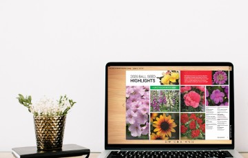 Desktop screen with flip book image