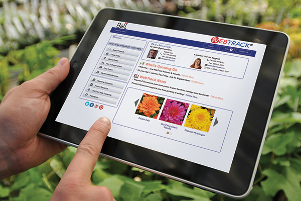 WebTrack on a tablet in a greenhouse with Mums on screen.