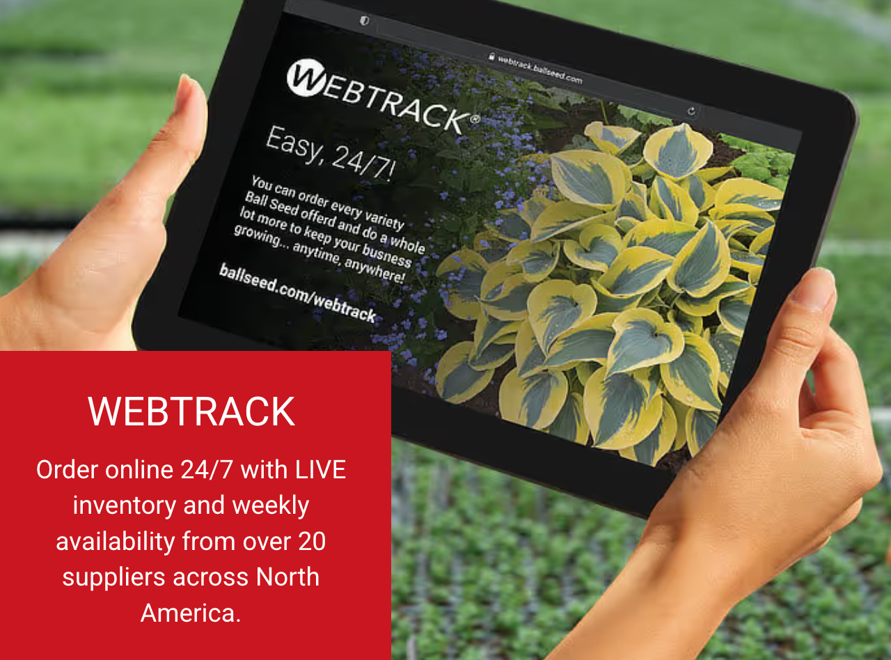 WebTrack® on tablet