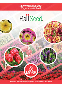 Ball Seed new varieties brochure available now