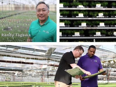 Gold Supplier Spotlight: Tagawa Greenhouses