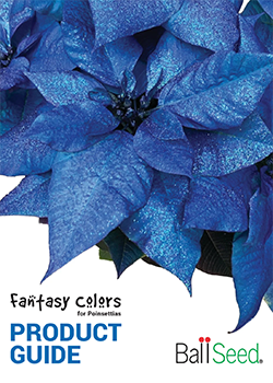 Fantasy Colors Product Guide cover