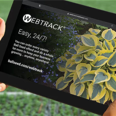 WebTrack Perennials Tablet
