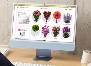 New Resources for Ball Seed Cut Flowers Now Available