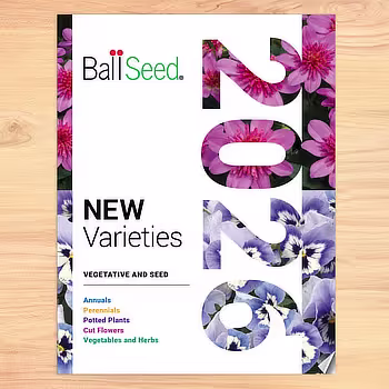 New Varieties