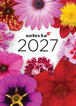 Selecta one catalog cover