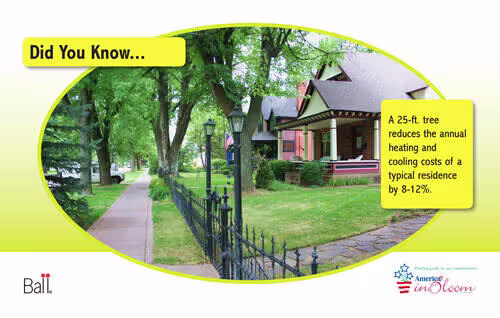 Retail PlantBenefit Benchcard 4