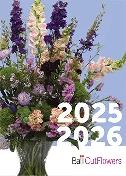 LiteratureCoverImage 