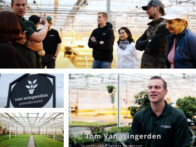 Collage of people in a greenhouse