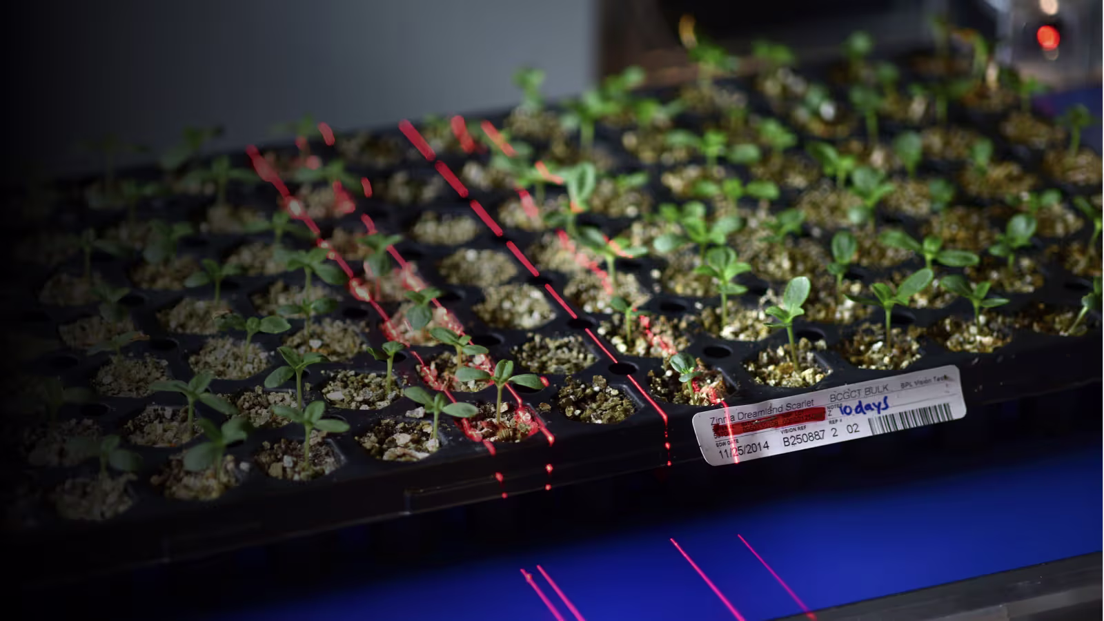 Quality-Tested Ball Vigor Index