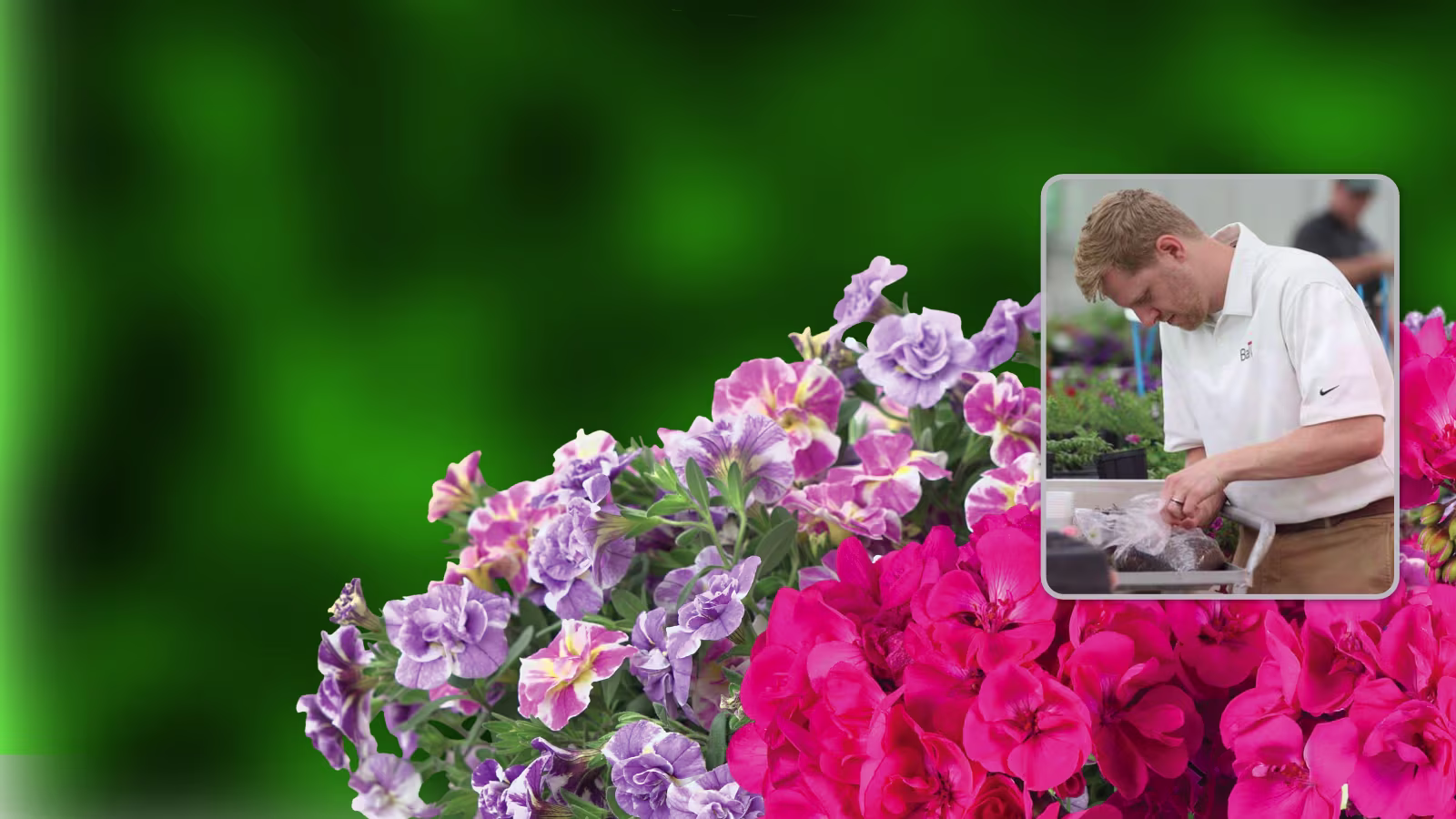 Here to Support You Every Step of the Way