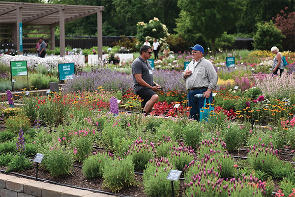 Darwin Perennials gardens in West Chicago