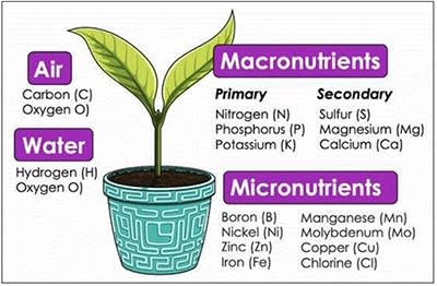 Water Quality Deep Dive - Soluble Salts, Macro- and