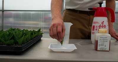 Training Video: Why Use Rooting Hormones