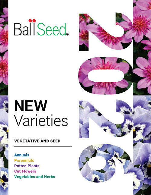 LiteratureCoverImage