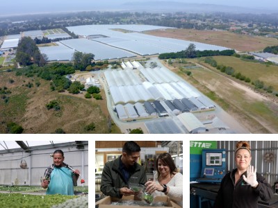 collage with people from Tagawa Greenhouses