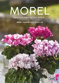 Morel Cyclamen New Varieties 2025