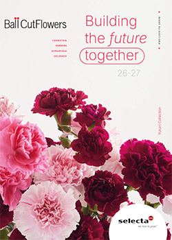 Selecta One cut flowers catalog cover 2026-2027