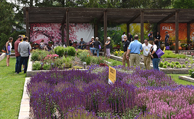 Save the Date for Darwin Perennials Day 2022