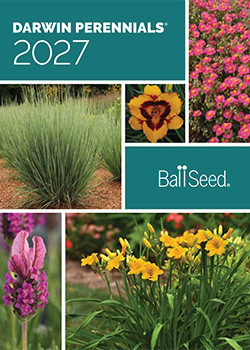 2027 Darwin Perennials Catalog