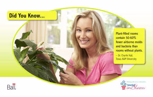 Retail PlantBenefit Benchcard 3