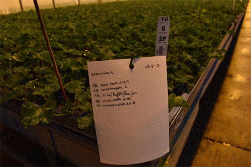 greenhouse bench with checklist