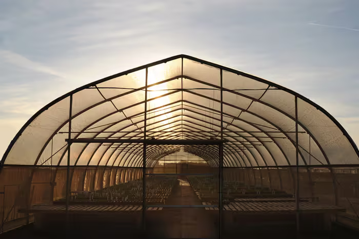 Grower structure photo