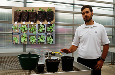 Josh Henry at a greenhouse bench with PGR applicators and sample young plants.