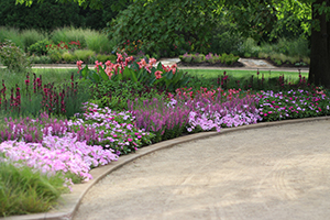 A colorful landscape design with a curved walkway and trees.