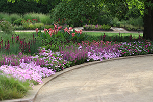 A colorful landscape design with a curved walkway and trees.