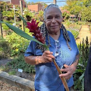 Mimo Davis holding curcuma stem
