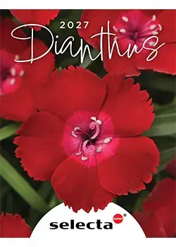 2027 Dianthus Selecta One catalog