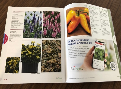 Inside the pages of the 2023 Ball Seed New Varieties Brochure