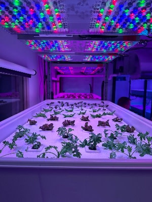 Horticultural Lighting Workshop at Michigan State 