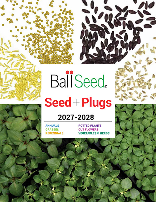 cat ballseed 2027-2028