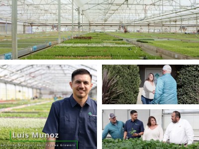 collage with people from Ball Tagawa Greenhouses