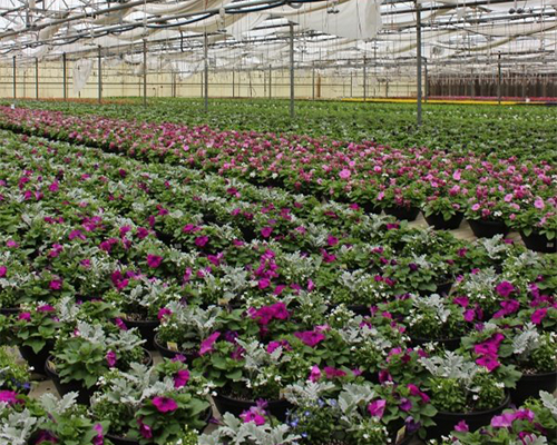 Join the Greenhouse Tech Team Facebook group