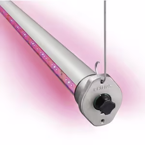 Signify GreenPower LED Interlighting