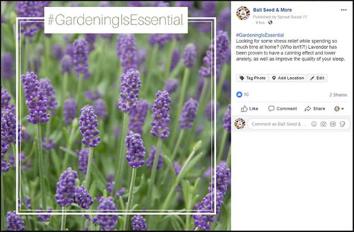 Victory gardens, part II ... Now with resources for YOU!