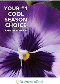 Pansy & Viola Brochure