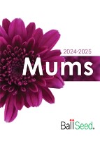Mums New Variety Brochure Now Available