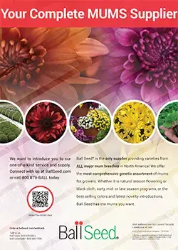 Print Ad - Complete Mum Supplier