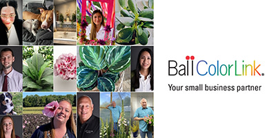 Get To Know Your ColorLink Team